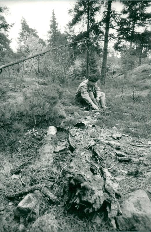 Ronny Carlsson in Hansta nature reserve - Vintage Photograph