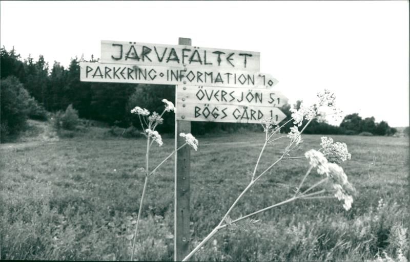 Direction sign in Hansta nature reserve - Vintage Photograph