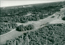 Hansta nature reserve - Vintage Photograph