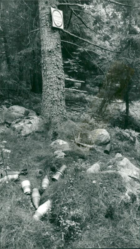 Hansta nature reserve - Vintage Photograph