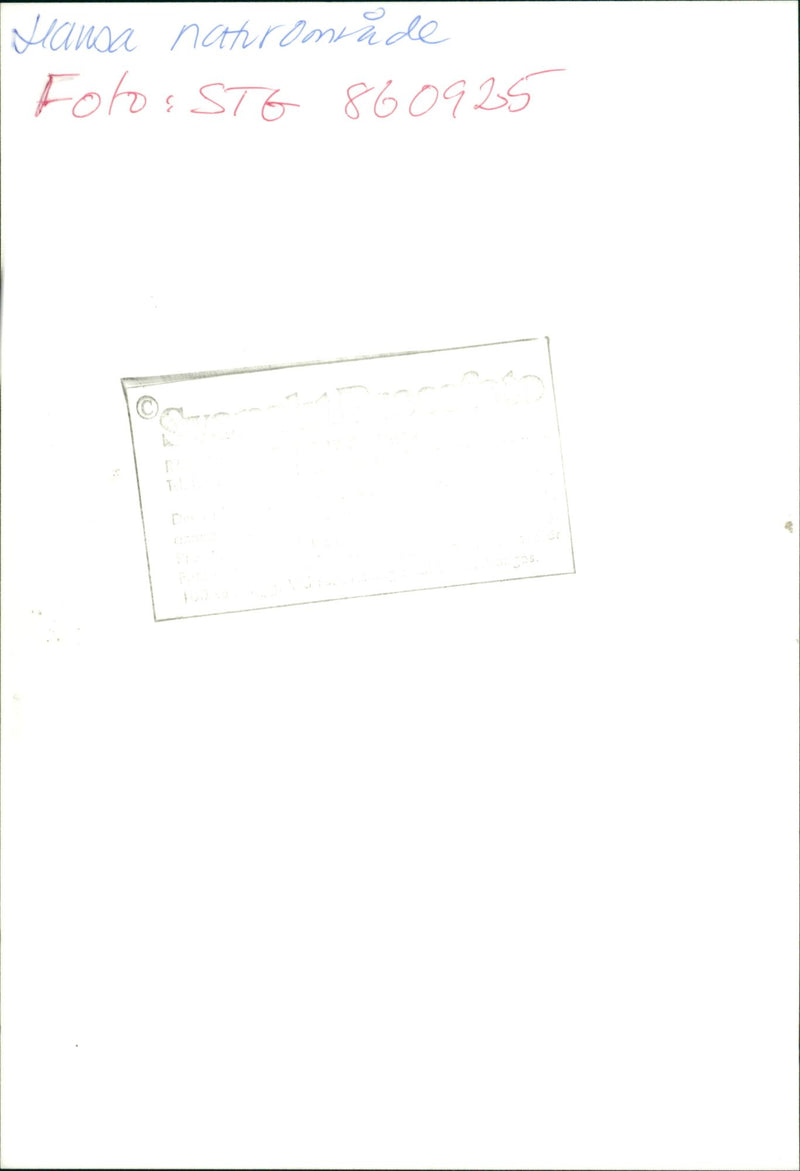 Ronny Carlsson in Hansta nature reserve - Vintage Photograph