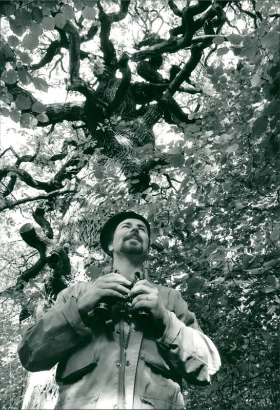 Ronny Carlsson in Hansta nature reserve - Vintage Photograph
