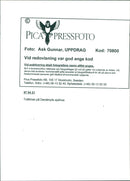 Supervisor at Danderyds Hospital - Vintage Photograph