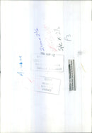 Dog: Welsh Hillman Sheepdog - Vintage Photograph