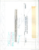 SMITH ROBERT CONCERT - Vintage Photograph