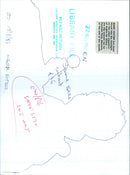 1985 CONCERT PETER - Vintage Photograph