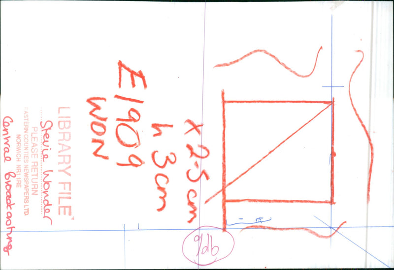 Stevie Wonder - Vintage Photograph