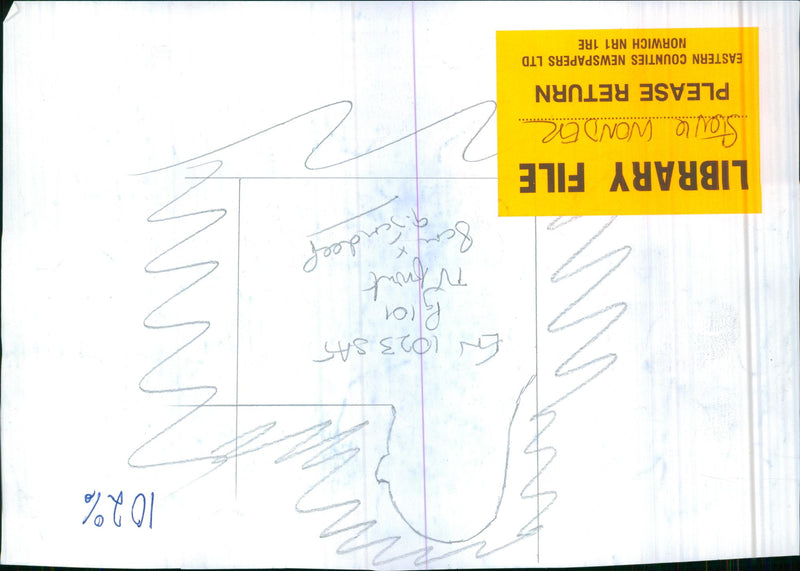 Stevie Wonder - Vintage Photograph