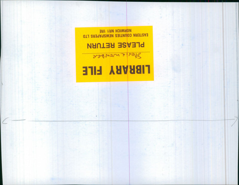 Stevie Wonder - Vintage Photograph