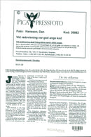 Dance band music in Brottby. Shooter singer Peter Danielsson - Vintage Photograph