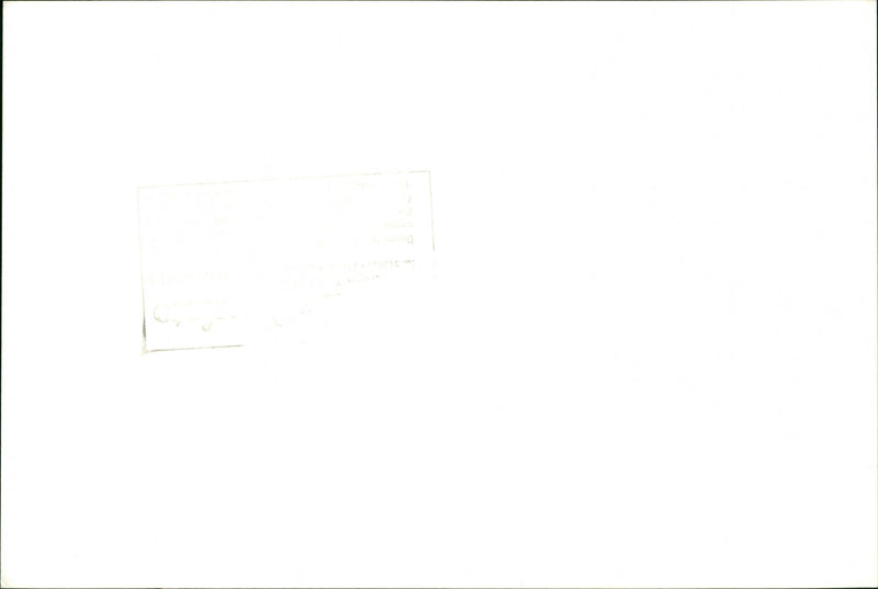 Marriage of Swedish model Cécilia Rodhe and Tennis player Yannick Noah. - Vintage Photograph