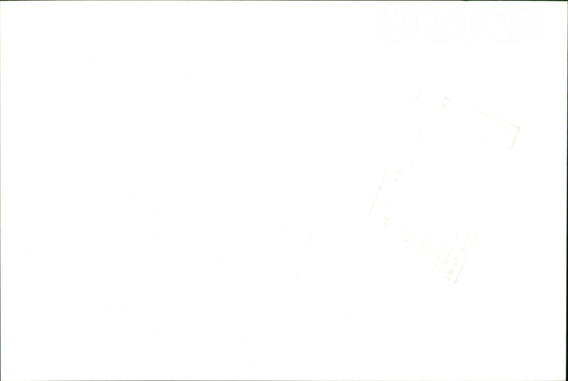 Marriage of Swedish model Cécilia Rodhe and Tennis player Yannick Noah. - Vintage Photograph