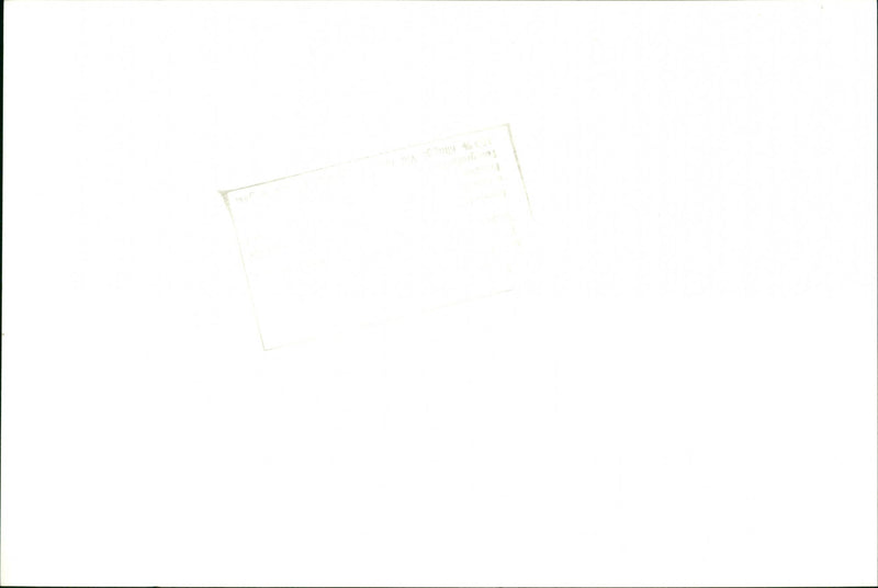 Marriage of Swedish model Cécilia Rodhe and Tennis player Yannick Noah. - Vintage Photograph