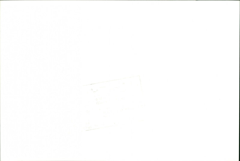 Marriage of Swedish model Cécilia Rodhe and Tennis player Yannick Noah. - Vintage Photograph