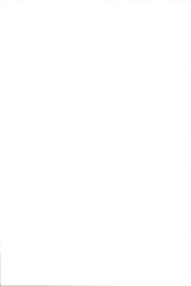 The cars. Maserati - Vintage Photograph