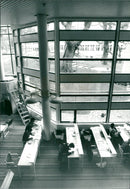 1983 SWEDEN PUT ANIMAL CLOSE CONTACT GUARDS SHOULD - Vintage Photograph