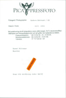 Hasse Tellemar, Musician in Stockholm. - Vintage Photograph