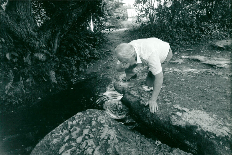 Bo Setterlind, Swedish writer and poet - Vintage Photograph