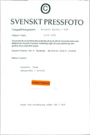 Suzanne Vega, an American singer-songwriter - Vintage Photograph