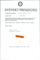 Suzanne Vega, an American singer-songwriter - Vintage Photograph