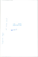 Suzanne Vega at  Grona Lund Concert, Stockholm - Vintage Photograph