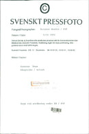 Suzanne Vega, an American singer-songwriter - Vintage Photograph