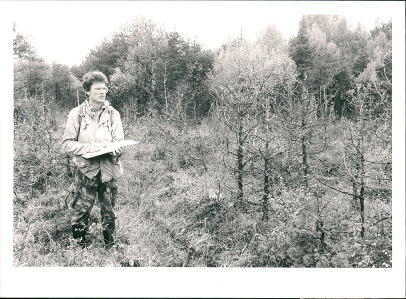 Uppland - Vintage Photograph