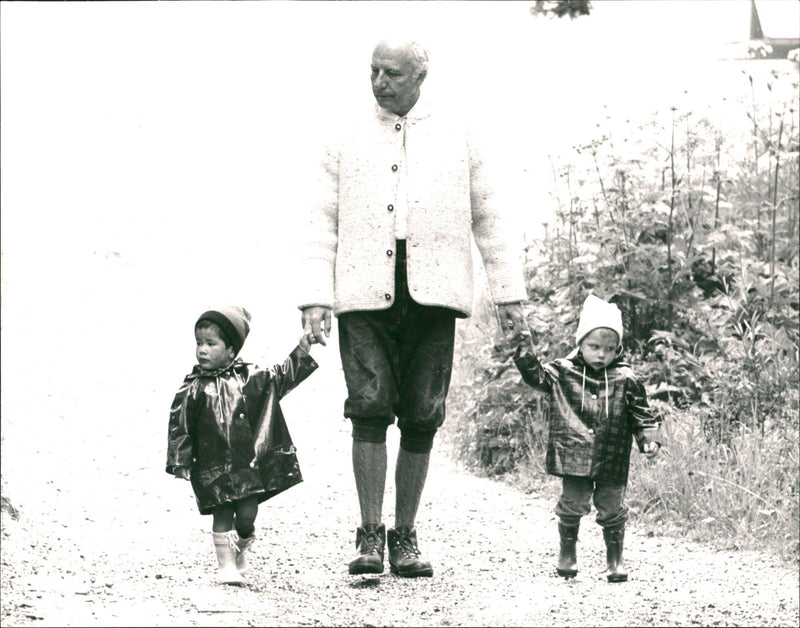 Scheel, Walter Politician - Vintage Photograph