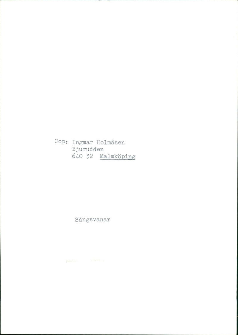 Swans - Vintage Photograph