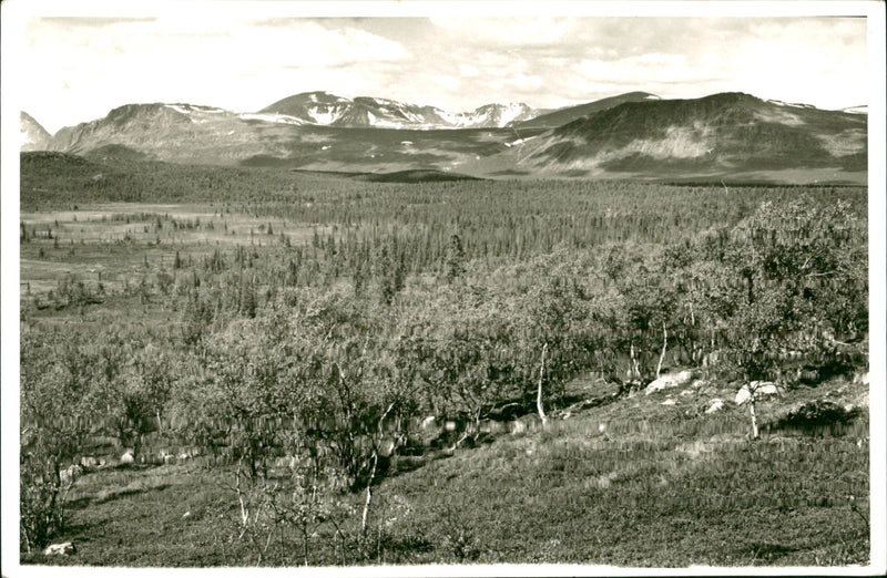 Sjaunja - Vintage Photograph