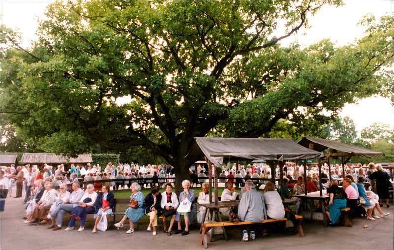 Skansen Miscellaneous. - Vintage Photograph