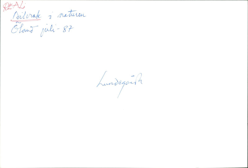 LUNDEGITT NATURE - Vintage Photograph
