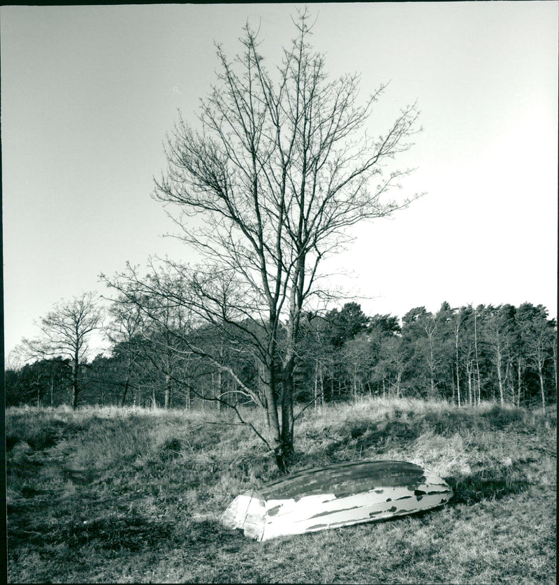 Nature view in Utö - Vintage Photograph