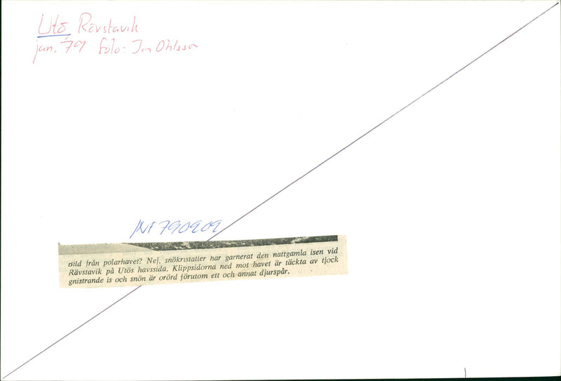 Utö nature - Vintage Photograph