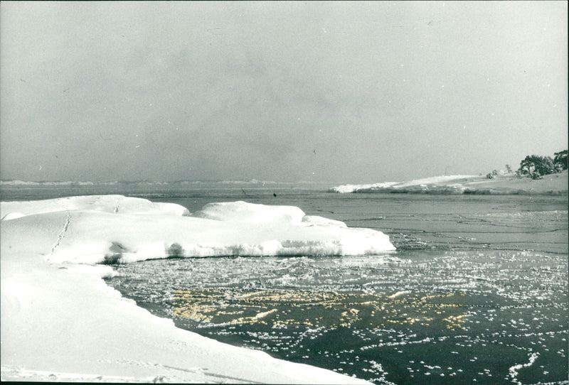 Utö nature - Vintage Photograph