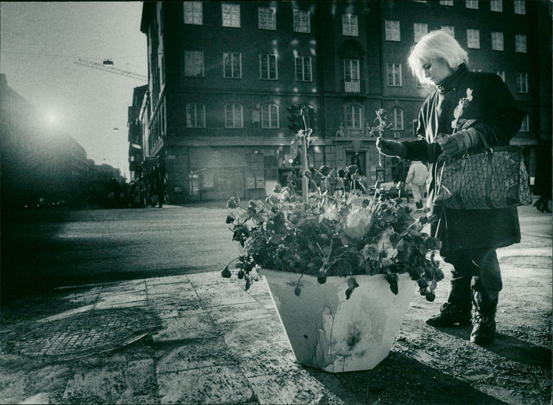 Olof Palme, Swedish Prime Minister. One year after the murder of Olof Palme - Vintage Photograph