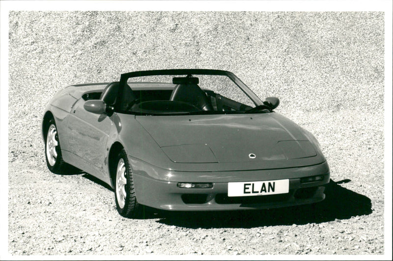 Lotus - Vintage Photograph