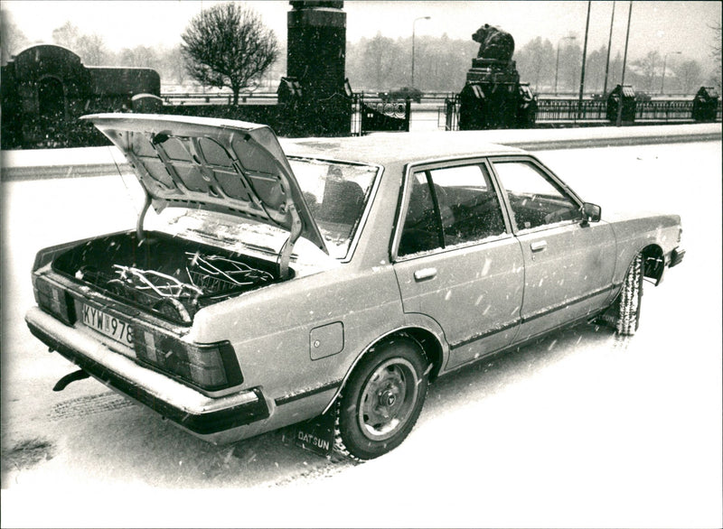 Datsun Bluebird 1981 - Vintage Photograph
