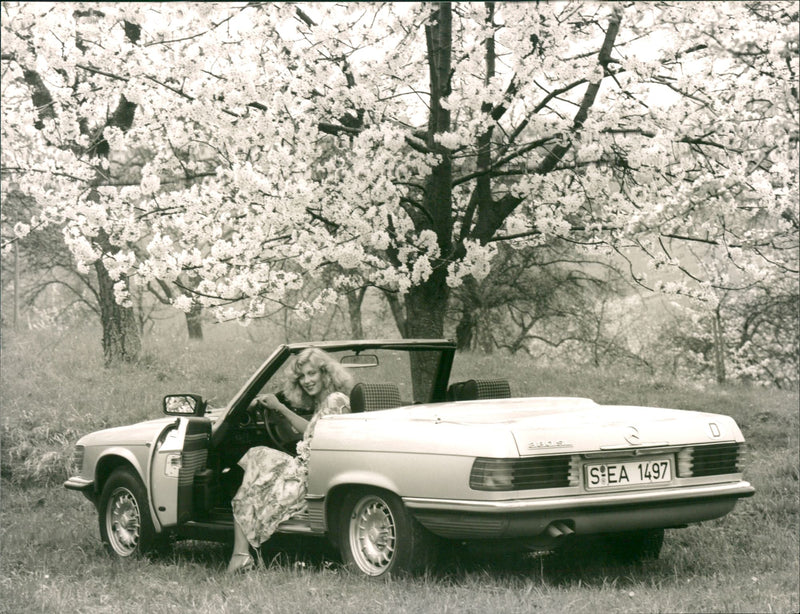 Mercedes-Benz 380 SL 1985 - Vintage Photograph
