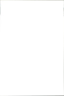 Fiat - Vintage Photograph