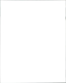 Fiat - Vintage Photograph