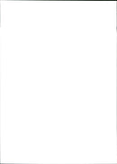 Fiat Tempra SX - Vintage Photograph