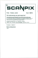 Fiat - Vintage Photograph