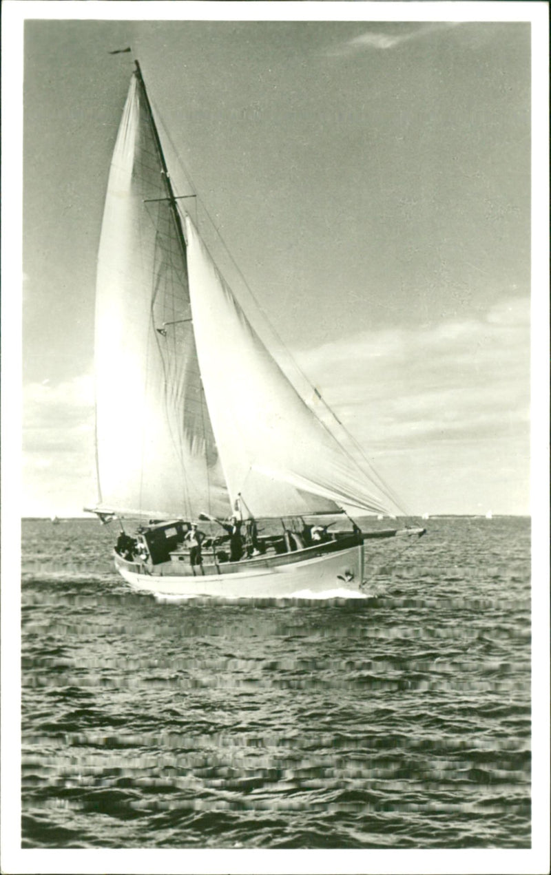 Sea Cruiser Biscaya. - Vintage Photograph