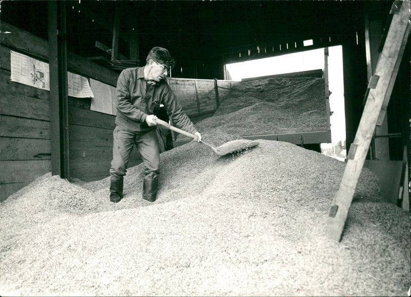 Agriculture - Vintage Photograph
