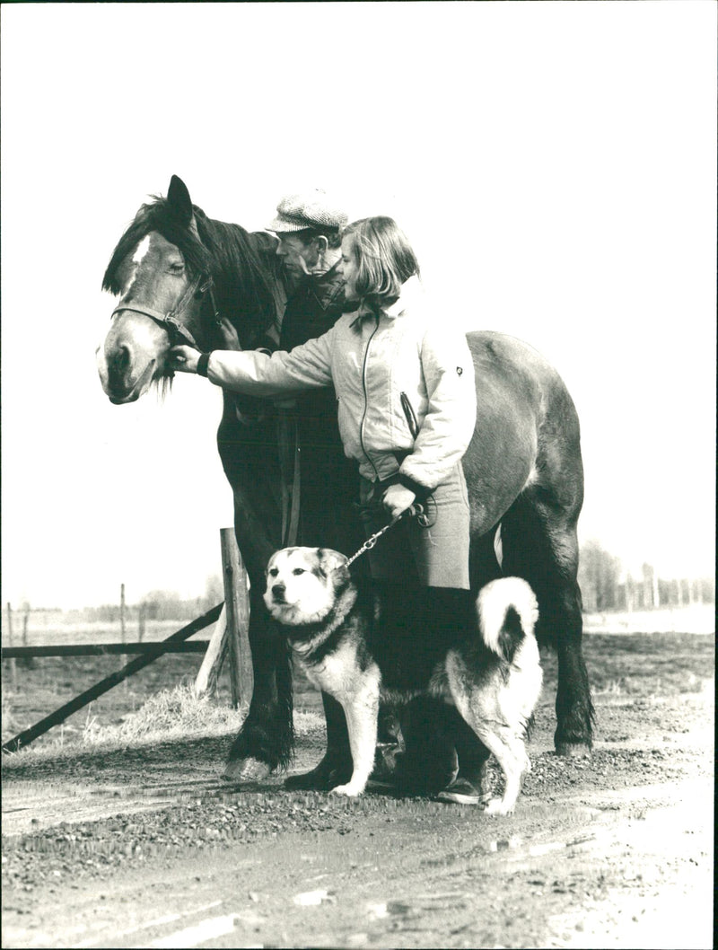 Agriculture - horse and a dog - Vintage Photograph