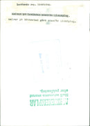 Agriculture - Linkoping, cows - Vintage Photograph