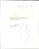 Parliamentary Elections 1952. - Vintage Photograph