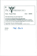 Artistic photos - Vintage Photograph