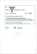 Artistic photos - Vintage Photograph